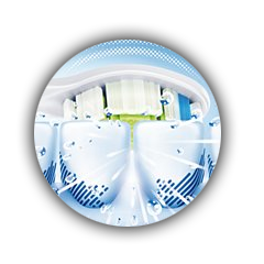 Estelar 3